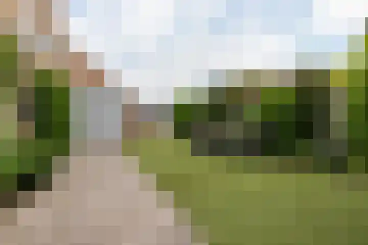 Kastanjelaan 17 Leimuiden thumbnail 19