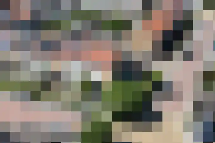 Kastanjelaan 17 Leimuiden thumbnail 31