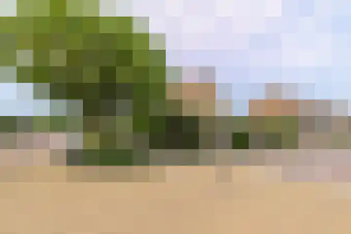 Kastanjelaan 17 Leimuiden thumbnail 32