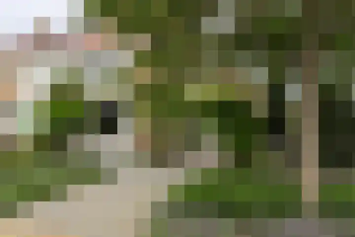 Kastanjelaan 17 Leimuiden thumbnail 34