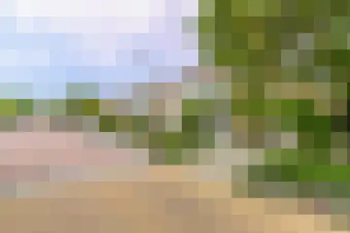 Kastanjelaan 17 Leimuiden thumbnail 35