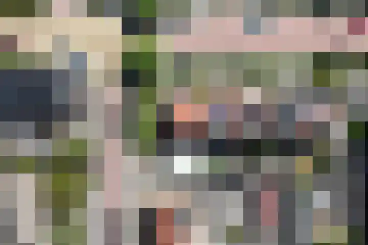 Kastanjelaan 17 Leimuiden thumbnail 4