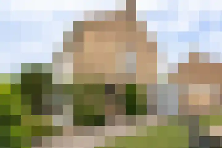 Kastanjelaan 17 Leimuiden thumbnail 5