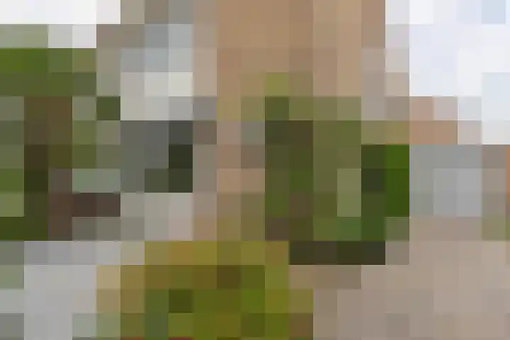 Kastanjelaan 17 Leimuiden thumbnail 6