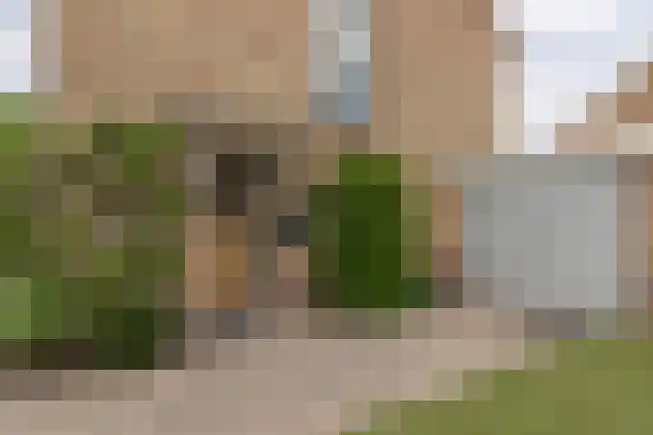 Kastanjelaan 17 Leimuiden thumbnail 7