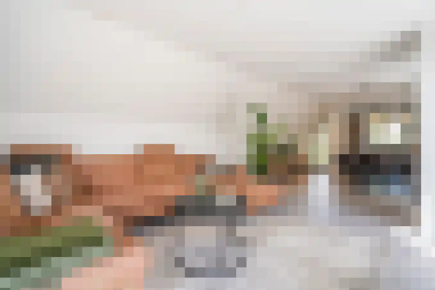 Kastanjelaan 17 Papendrecht thumbnail 11