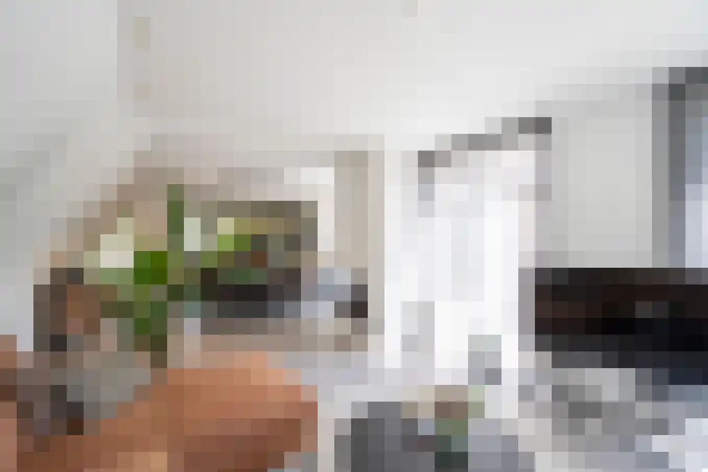 Kastanjelaan 17 Papendrecht thumbnail 12