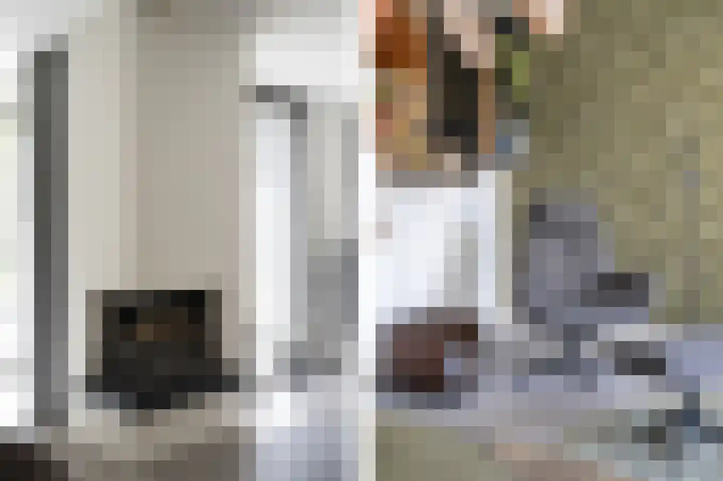 Kastanjelaan 17 Papendrecht thumbnail 13