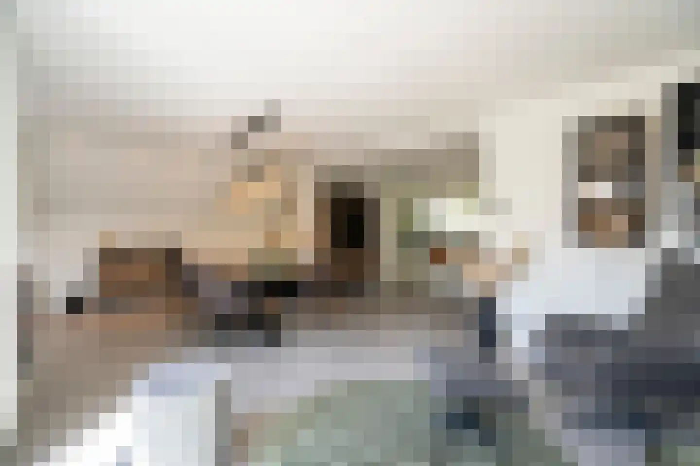 Kastanjelaan 17 Papendrecht thumbnail 15