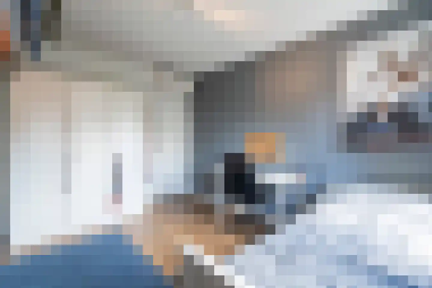 Kastanjelaan 17 Papendrecht thumbnail 26