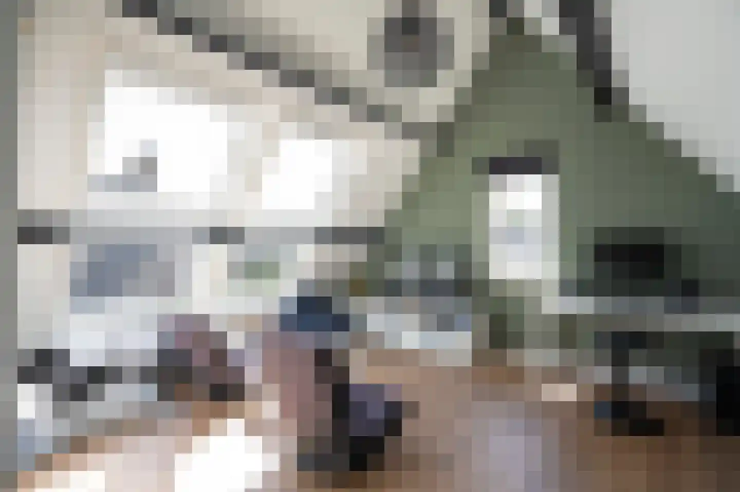 Kastanjelaan 17 Papendrecht thumbnail 32