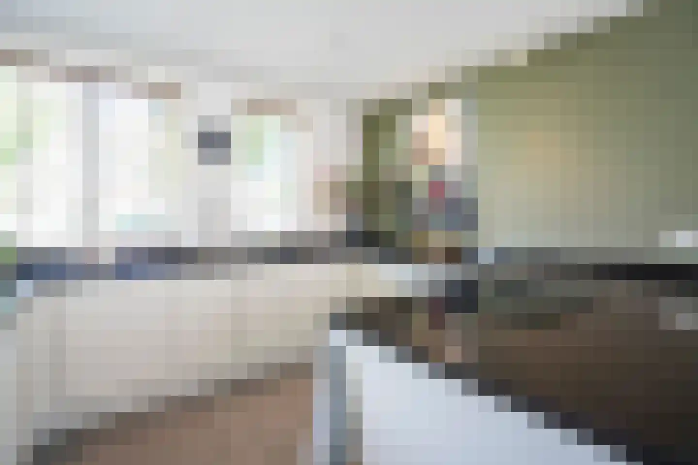 Kastanjelaan 17 Papendrecht thumbnail 4