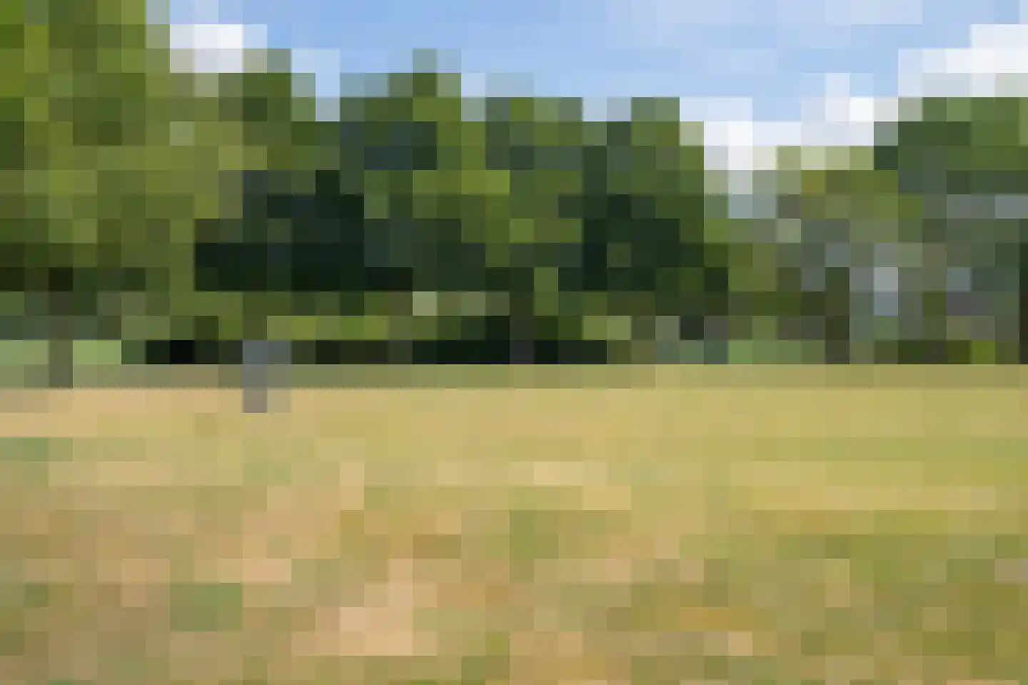 Kastanjelaan 17 Papendrecht thumbnail 43