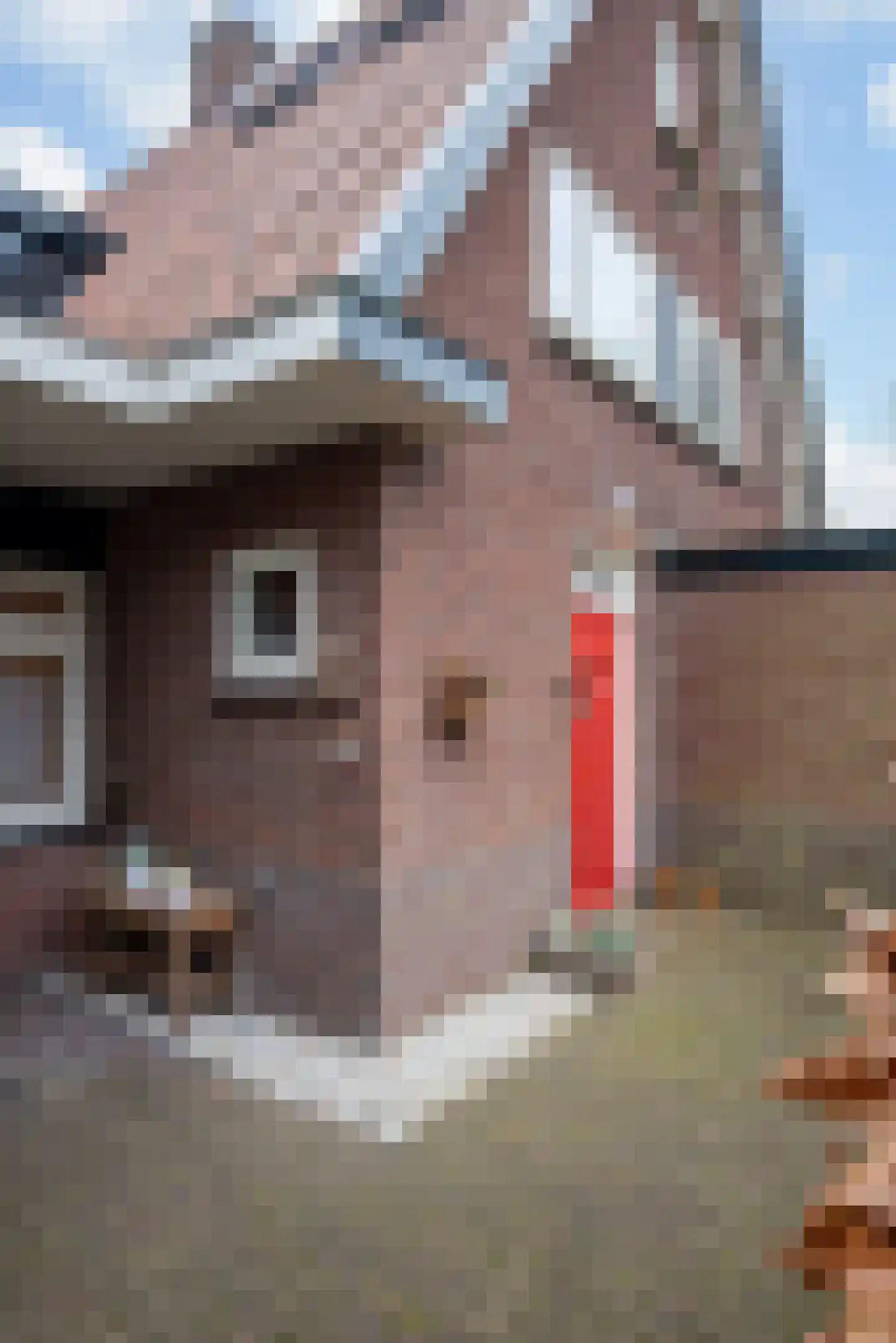 Kastanjelaan 17 Putten thumbnail 23