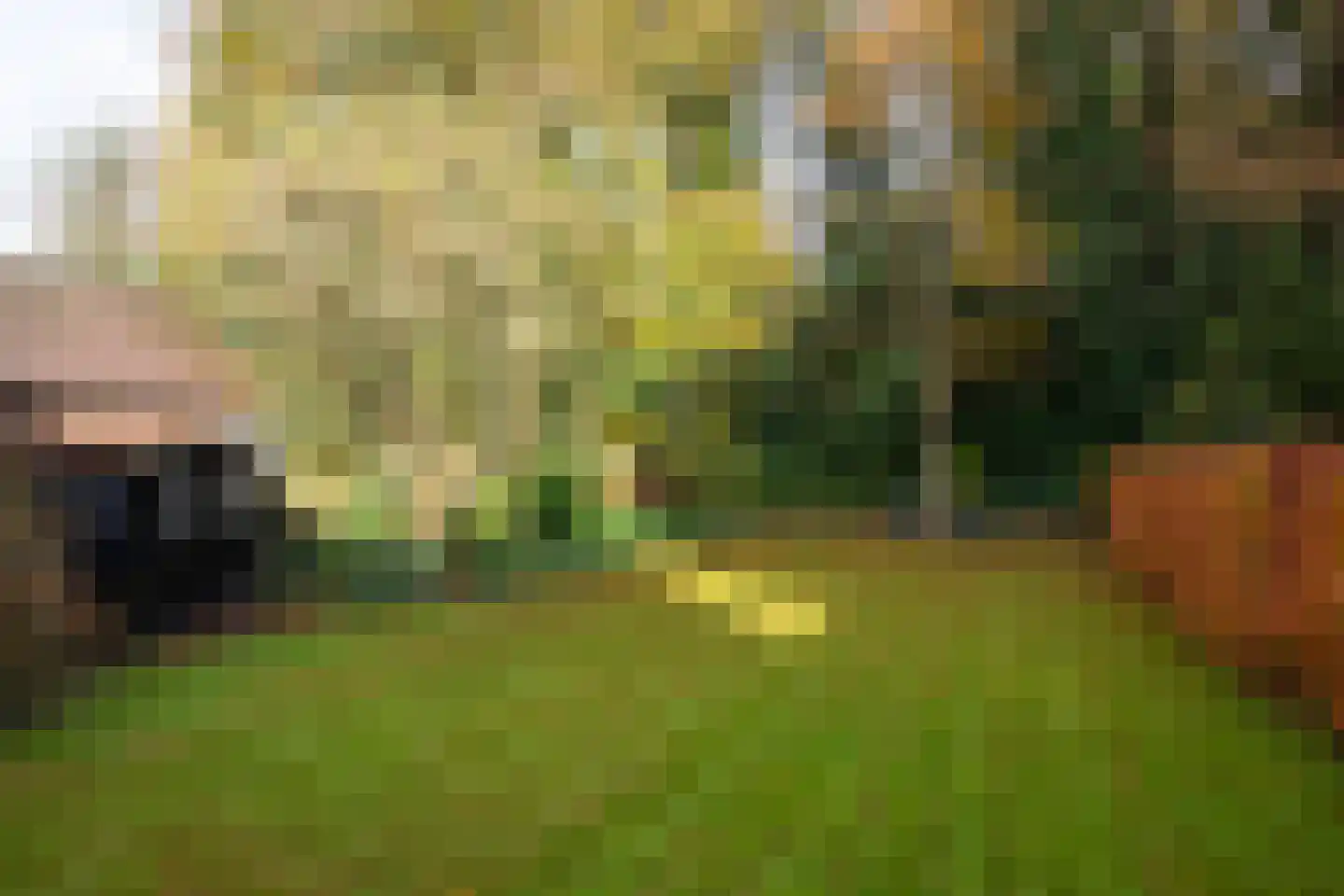 Kastanjelaan 17 Putten thumbnail 32