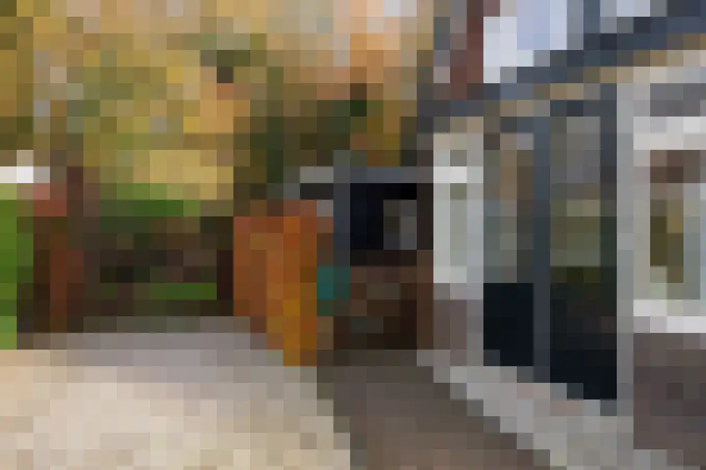 Kastanjelaan 17 Putten thumbnail 34