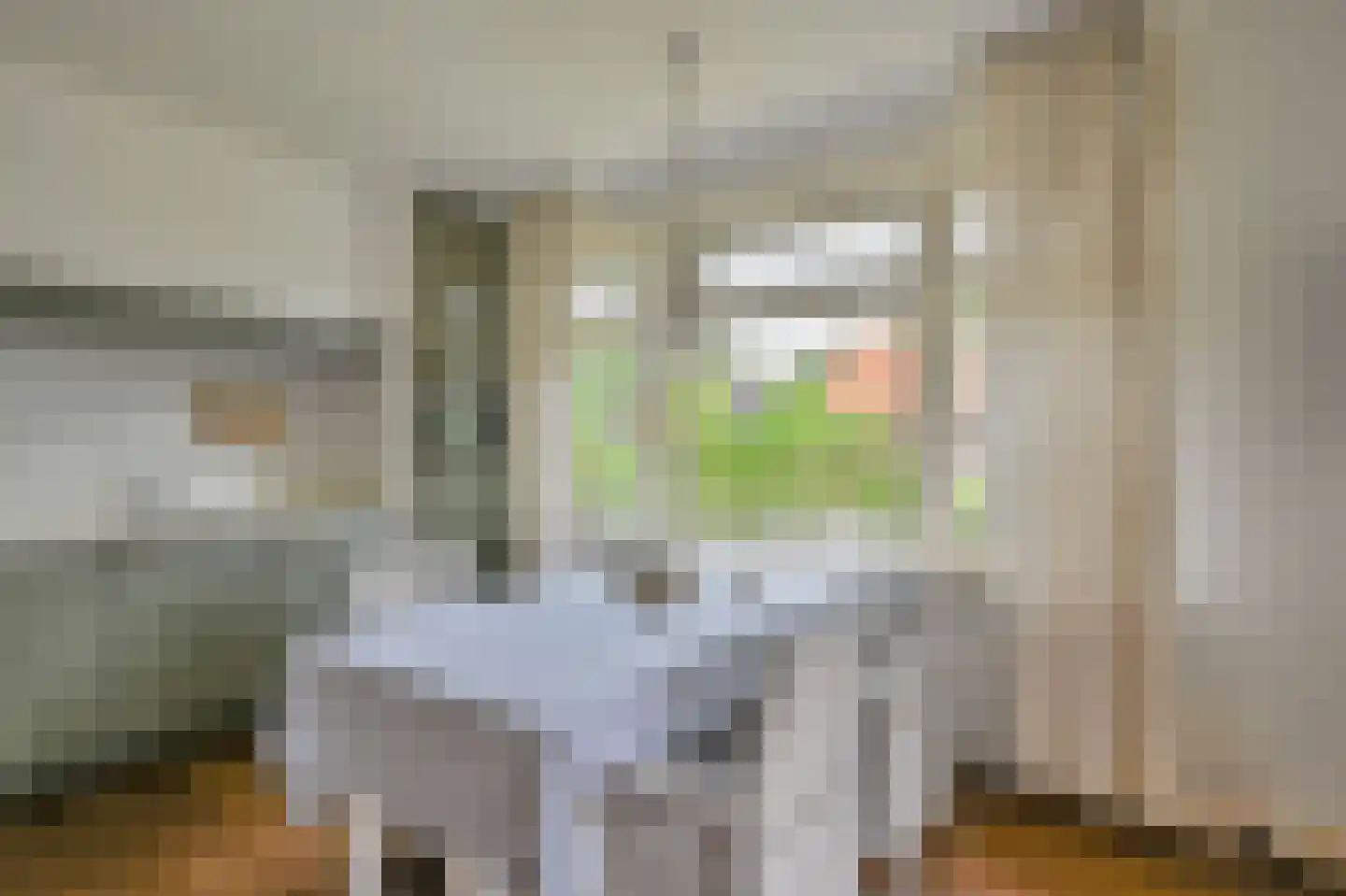 Kastanjelaan 17 Putten thumbnail 7