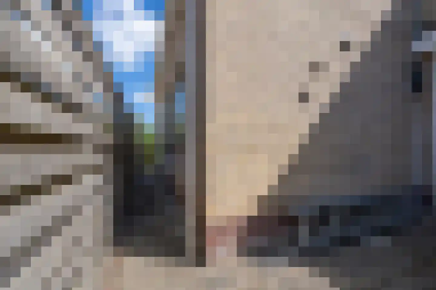 Kastanjelaan 17 Zuid-Scharwoude thumbnail 48
