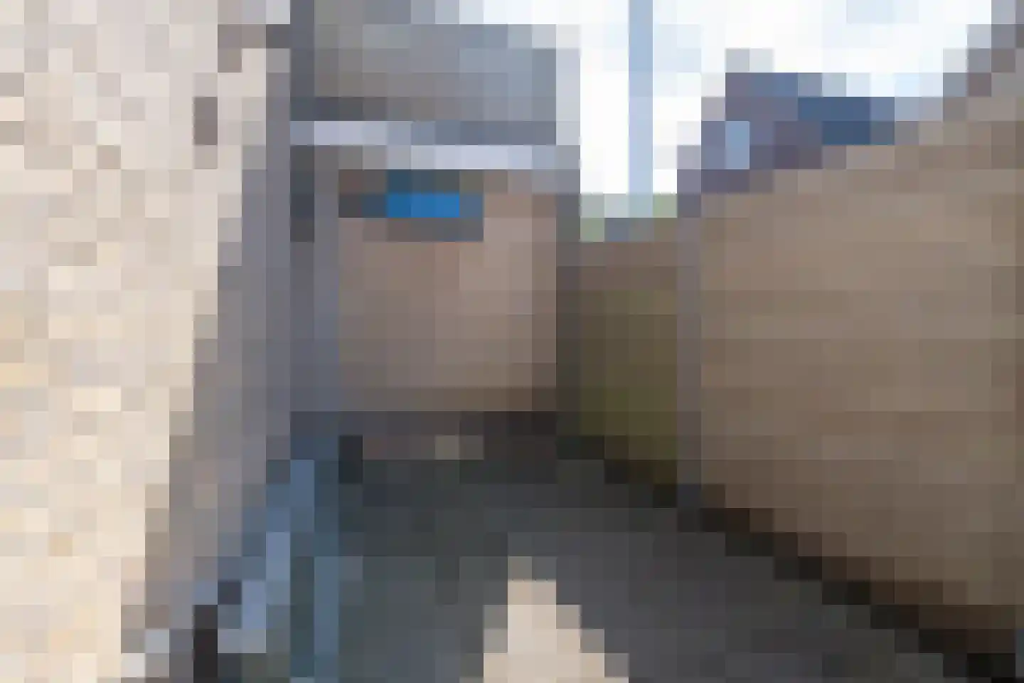 Kastanjelaan 17 Zuid-Scharwoude thumbnail 49