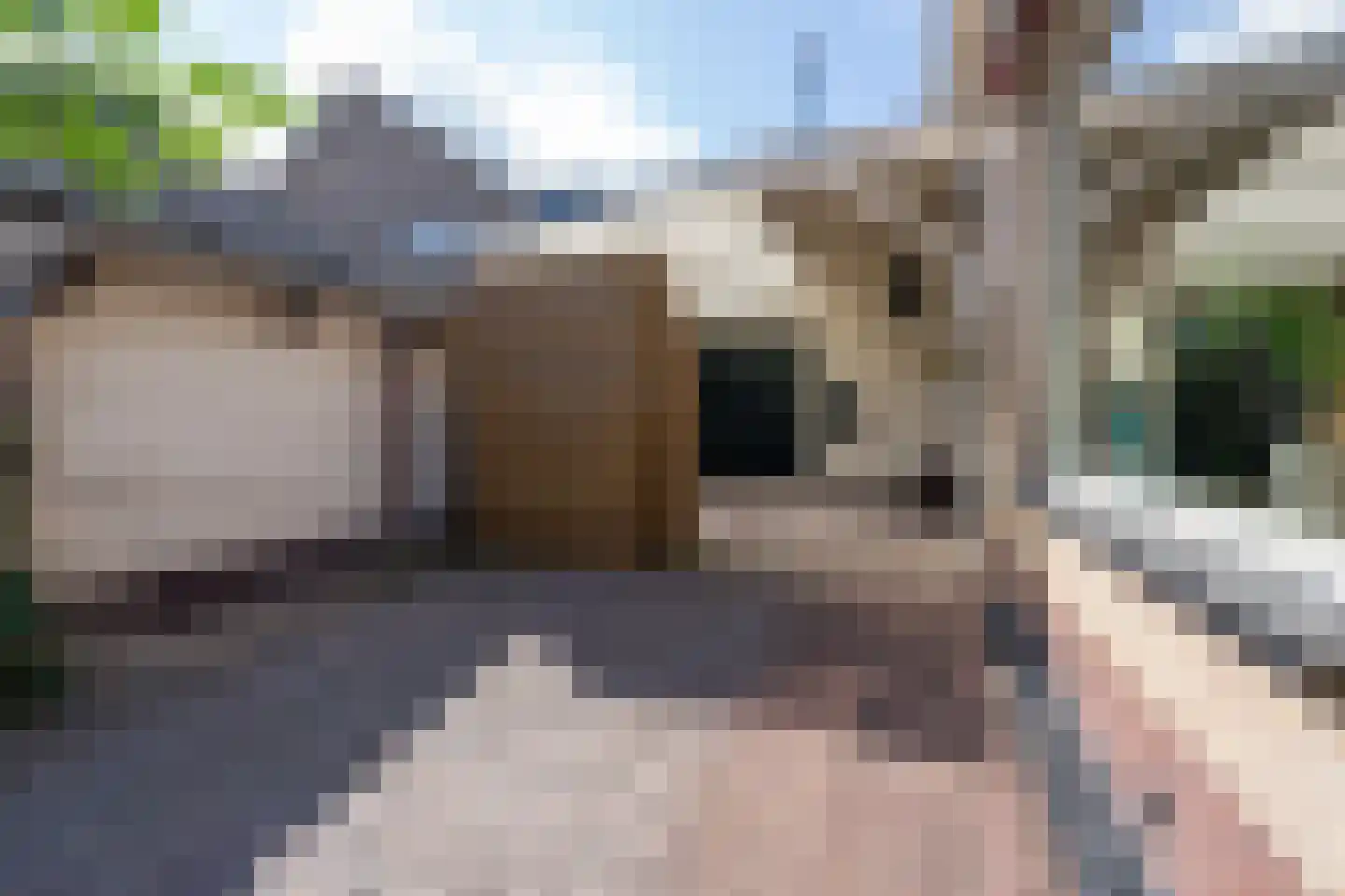 Kastanjelaan 17 Zuid-Scharwoude thumbnail 51