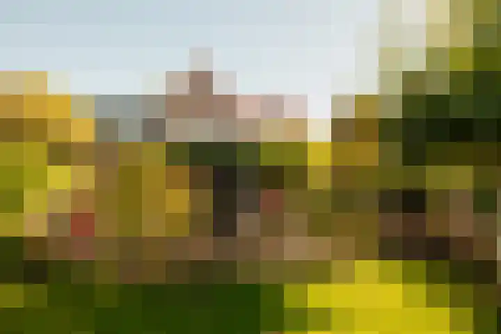 Kastanjelaan 18 Aalsmeer thumbnail 16