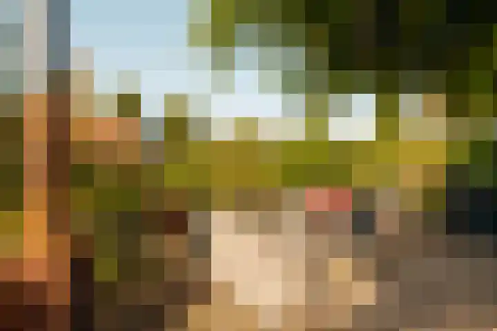 Kastanjelaan 18 Aalsmeer thumbnail 17