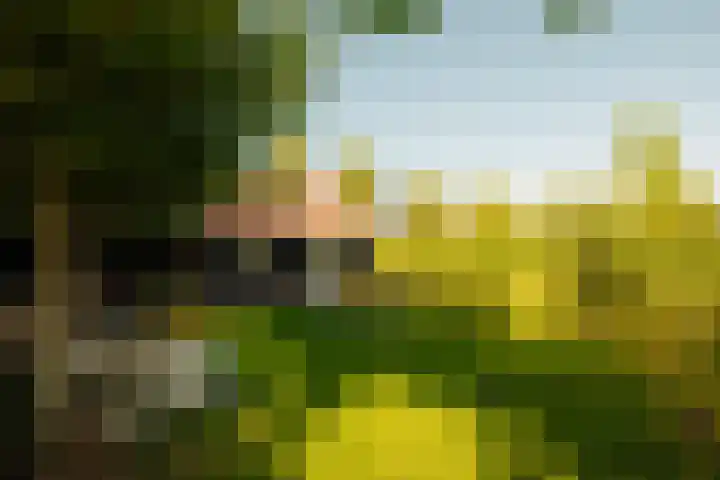 Kastanjelaan 18 Aalsmeer thumbnail 18