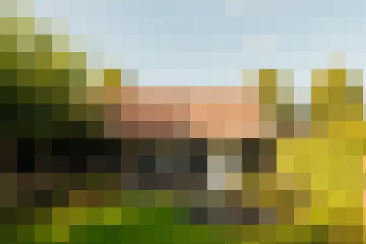 Kastanjelaan 18 Aalsmeer thumbnail 19