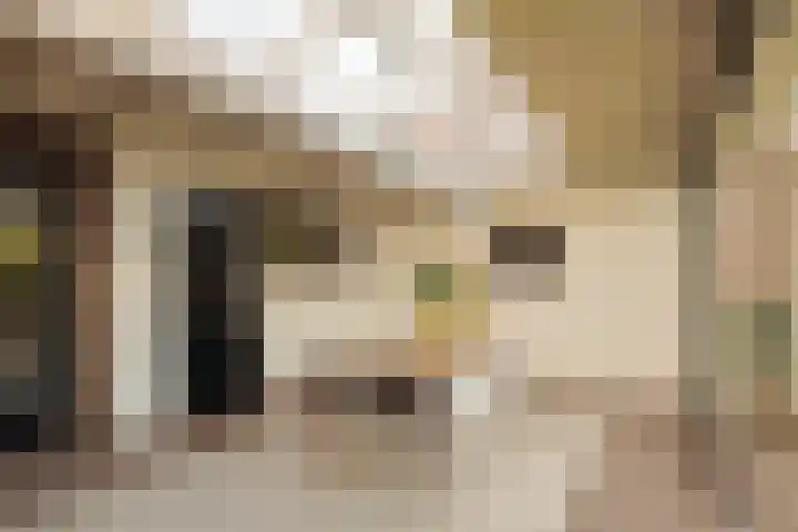 Kastanjelaan 18 Aalsmeer thumbnail 31