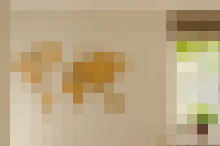 Kastanjelaan 18 Aalsmeer thumbnail 32