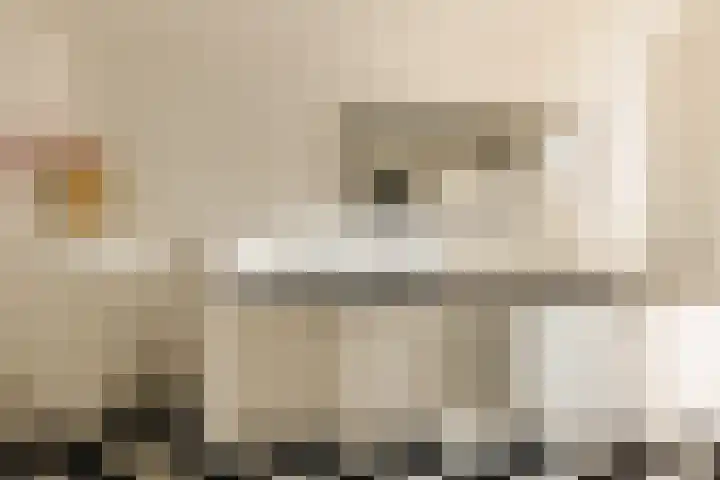 Kastanjelaan 18 Aalsmeer thumbnail 36