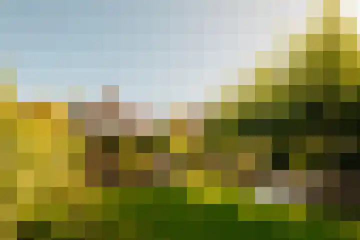 Kastanjelaan 18 Aalsmeer thumbnail 4