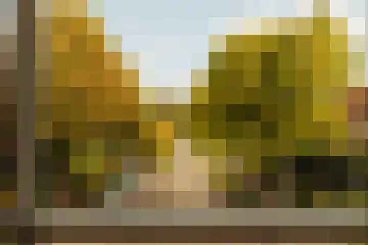 Kastanjelaan 18 Aalsmeer thumbnail 48