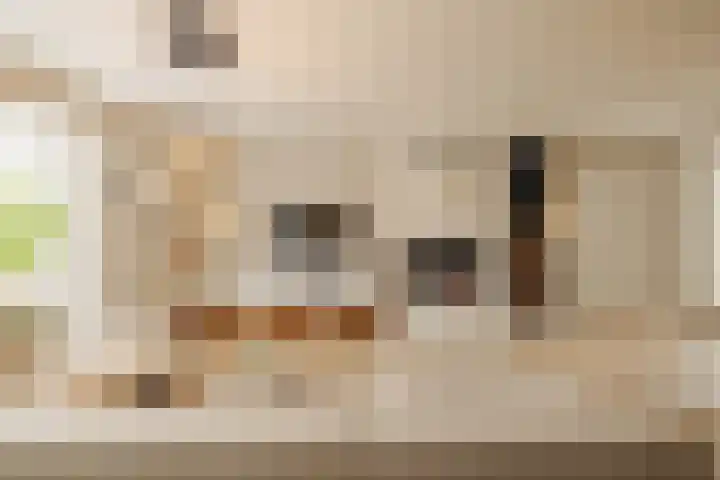 Kastanjelaan 18 Aalsmeer thumbnail 7