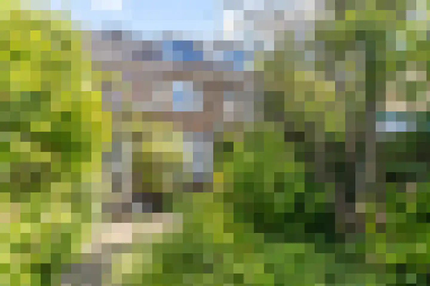 Kastanjelaan 18 Beverwijk thumbnail 18