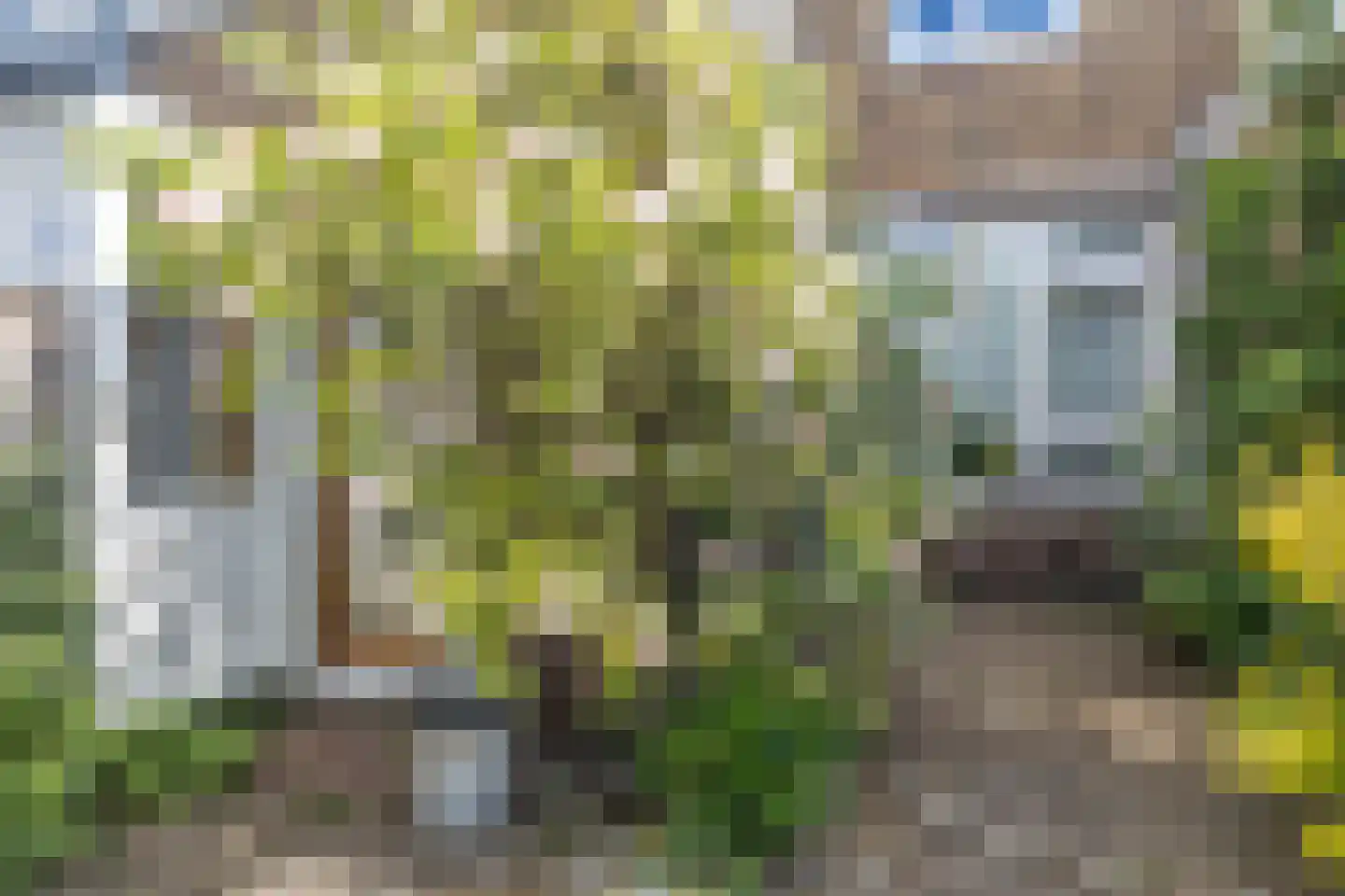 Kastanjelaan 18 Beverwijk thumbnail 19