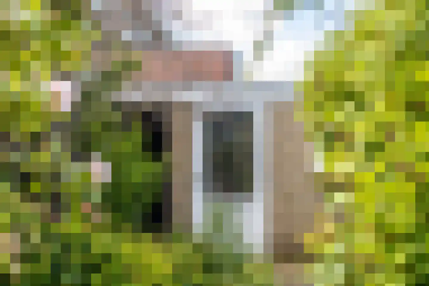 Kastanjelaan 18 Beverwijk thumbnail 20