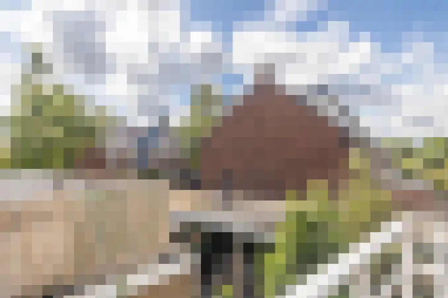 Kastanjelaan 18 Beverwijk thumbnail 36