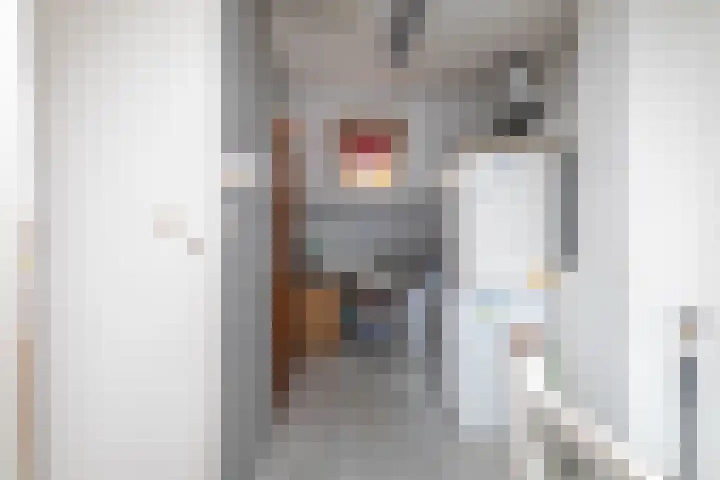 Kastanjelaan 18 Beverwijk thumbnail 38