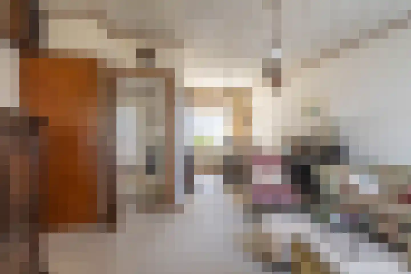 Kastanjelaan 18 Beverwijk thumbnail 4