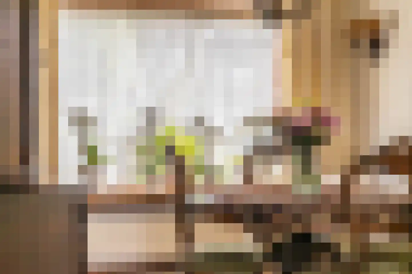 Kastanjelaan 18 Beverwijk thumbnail 8