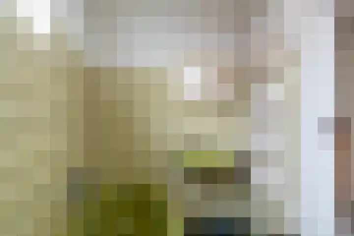 Kastanjelaan 18 Sleeuwijk thumbnail 17