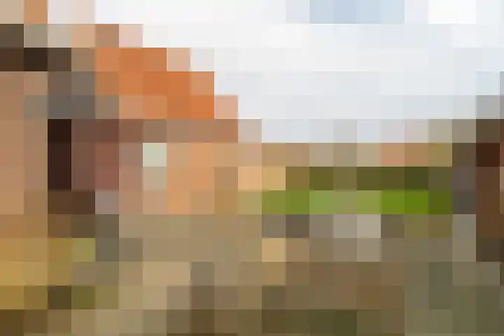 Kastanjelaan 18 Sleeuwijk thumbnail 30