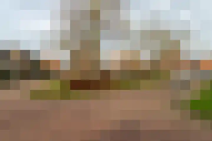 Kastanjelaan 18 Sleeuwijk thumbnail 33
