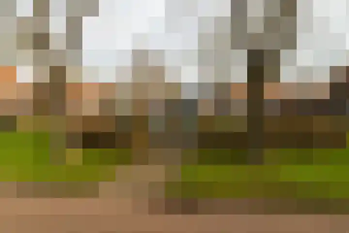 Kastanjelaan 18 Sleeuwijk thumbnail 34