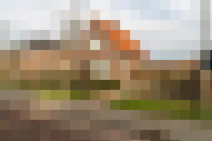 Kastanjelaan 18 Sleeuwijk thumbnail 4