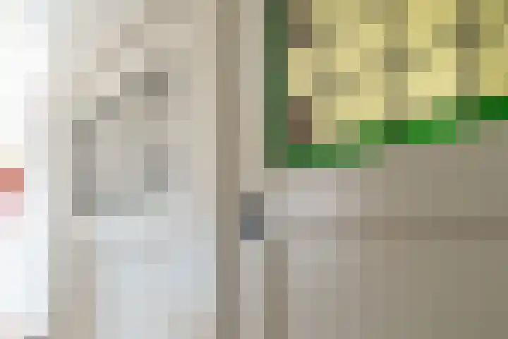 Kastanjelaan 18 Sleeuwijk thumbnail 8