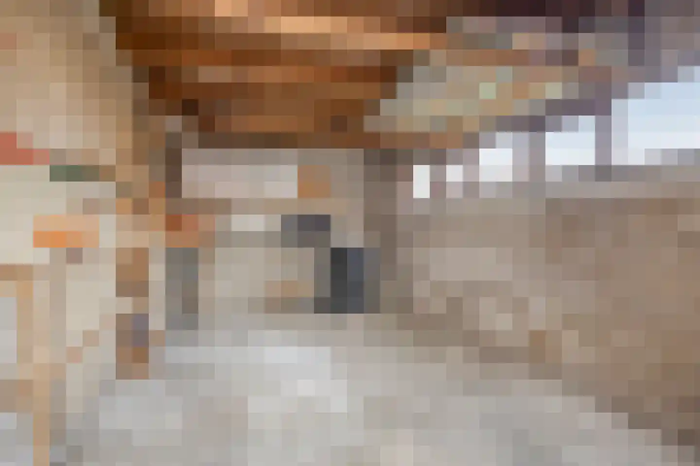 Kastanjelaan 18 Winschoten thumbnail 30
