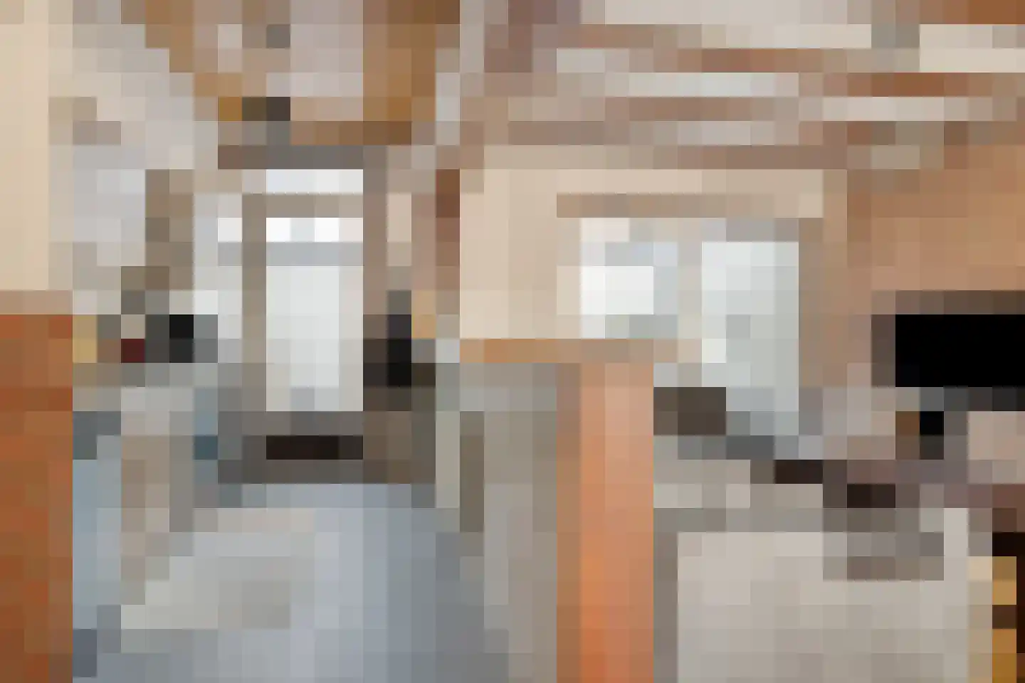 Kastanjelaan 182 Bergen op Zoom thumbnail 8