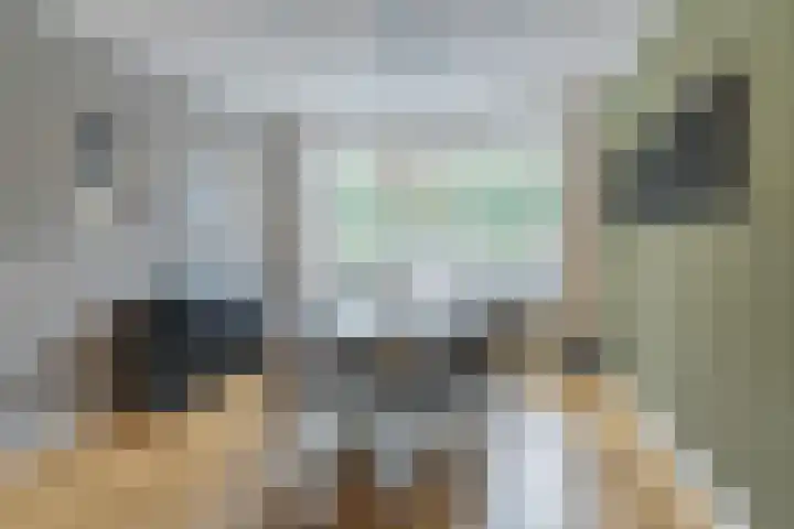 Kastanjelaan 188 Halsteren thumbnail 16